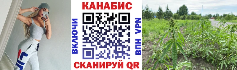 Бошки Шишки ГИДРОПОН  Бутурлиновка 